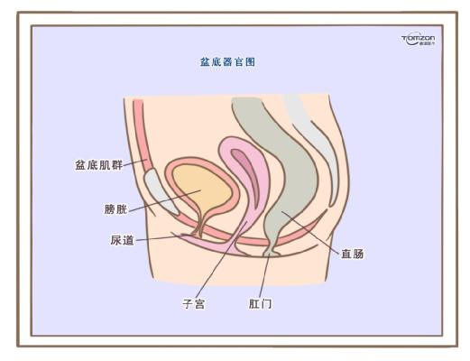盆底康復(fù)治療儀應(yīng)該在產(chǎn)后什么時候使用？