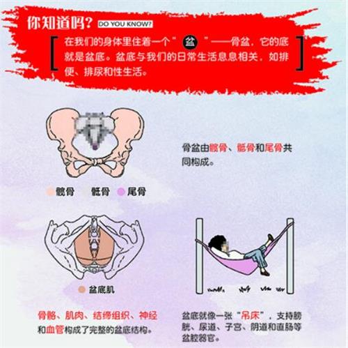 產(chǎn)后盆底肌修復